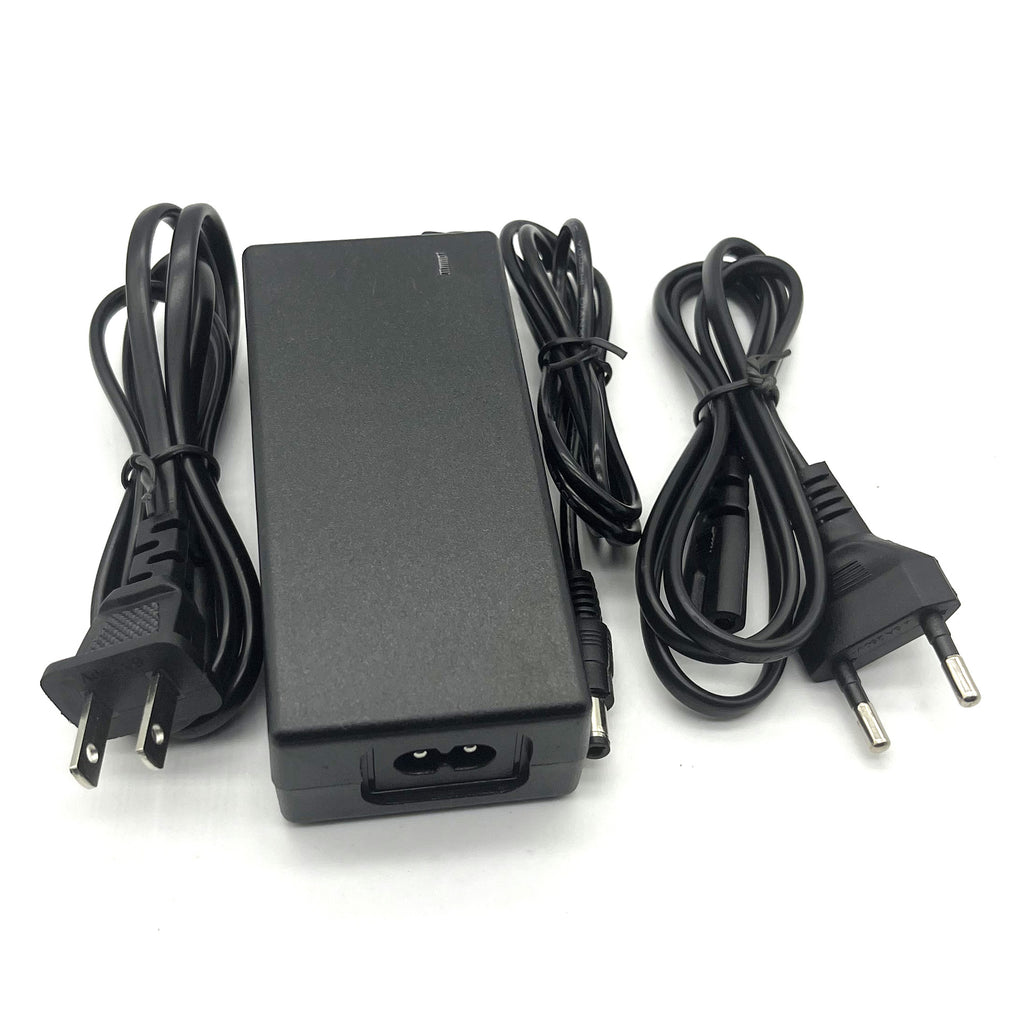 48v Lithium Ion Battery  20Ah 1000W 13S3P Li-ion